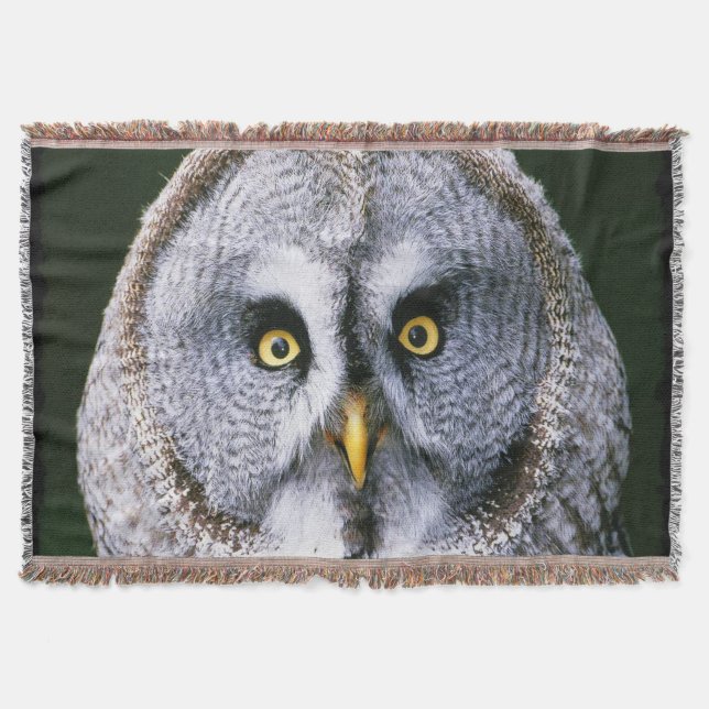 Owl 2 Throw Blanket (Front)