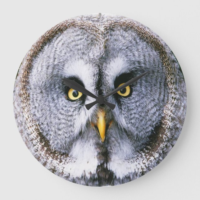 Owl 2 Wall Clocks & Numeral Options (Front)