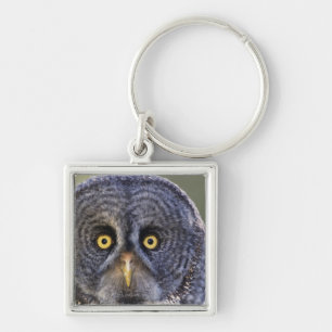 Owl 3 key ring