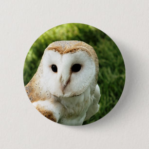 OWL 6 CM ROUND BADGE
