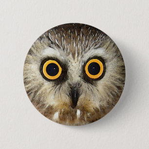 owl 6 cm round badge