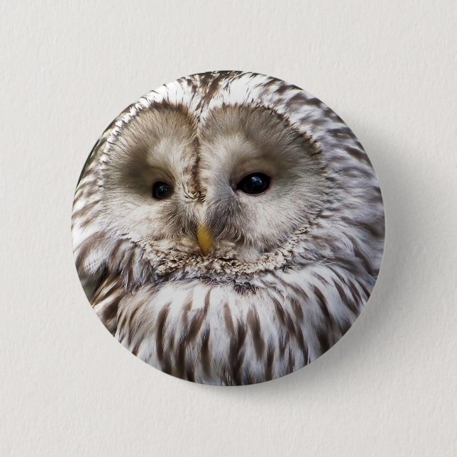 OWL 6 CM ROUND BADGE (Front)
