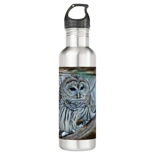 Owl 710 Ml Water Bottle (Front)