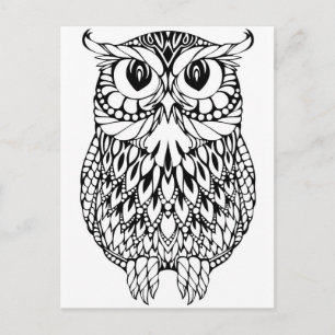 owl adult colouring postcard gift