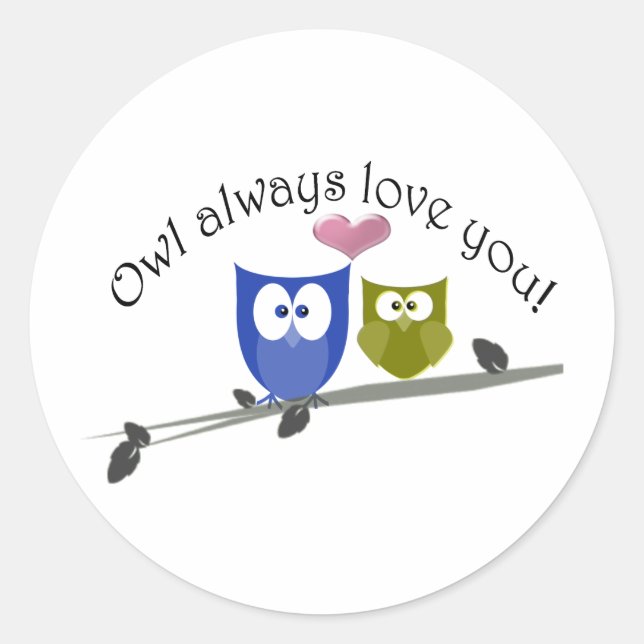 Owl always love you! classic round sticker (Front)