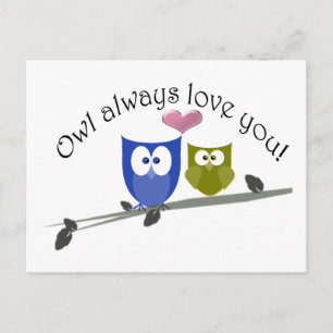 Owl always love you, cute Owls Art Postcard