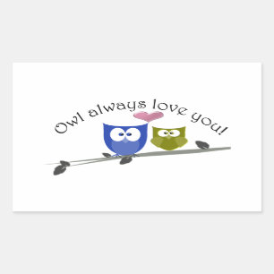Owl always love you, cute Owls Art Rectangular Sticker