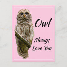 Owl Always Love You