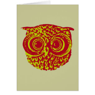 owl amazing birds