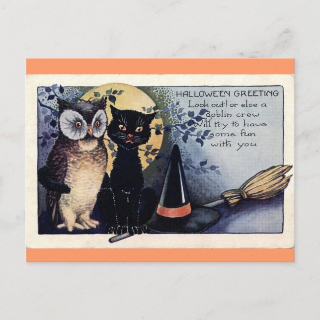 Owl and Black Cat Halloween Postcard (Front)