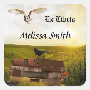Owl And Books Add Name Ex Libris Square Sticker