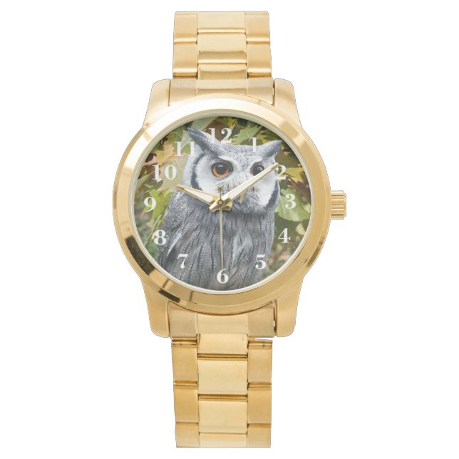 Owl and Leaves Watch (Front)