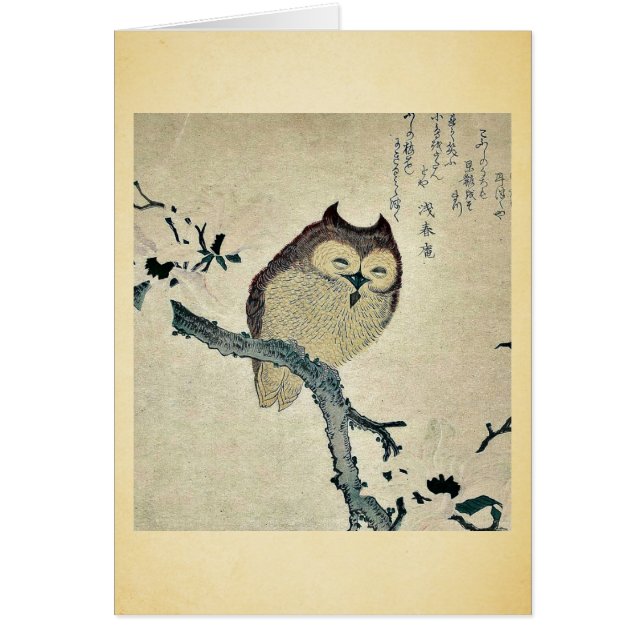 Owl and magnolia Ukiyoe (Front)