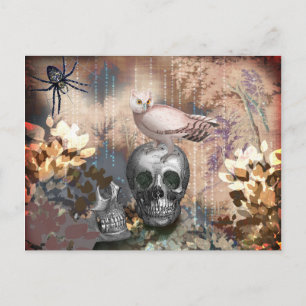 Owl and Skulls Halloween Postcard