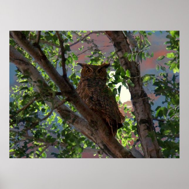 Owl and the Moon Print (Front)
