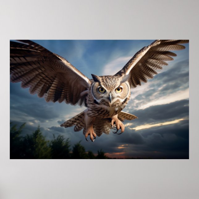 Owl Animal Bird Majestic Wilderness  Poster (Front)