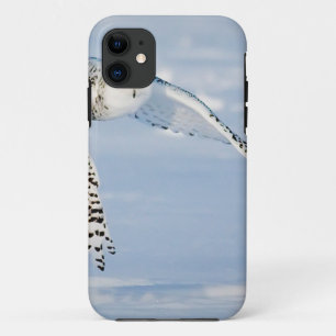 Owl Animal Bird Winter Snow Frozen Ice Cold iPhone 11 Case