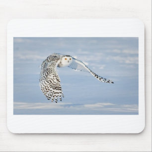 Owl Animal Bird Winter Snow Frozen Ice Cold Mouse Mat