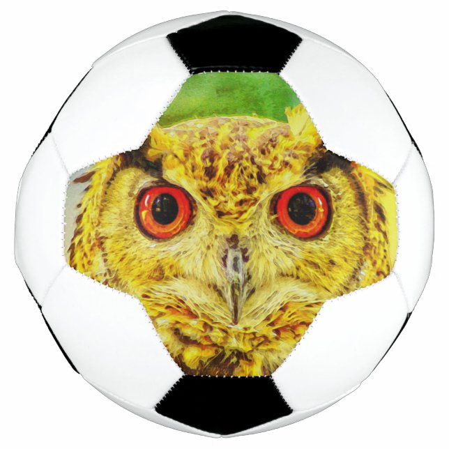 Owl Art Football (Front)