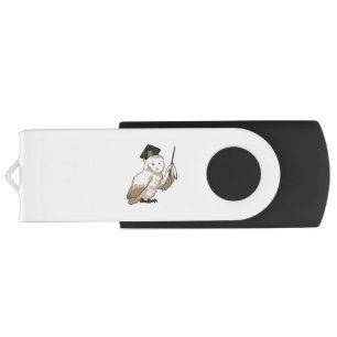 Owl as Teacher with Pointer USB Flash Drive