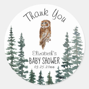 Owl Baby Shower Thank You Classic Round Sticker