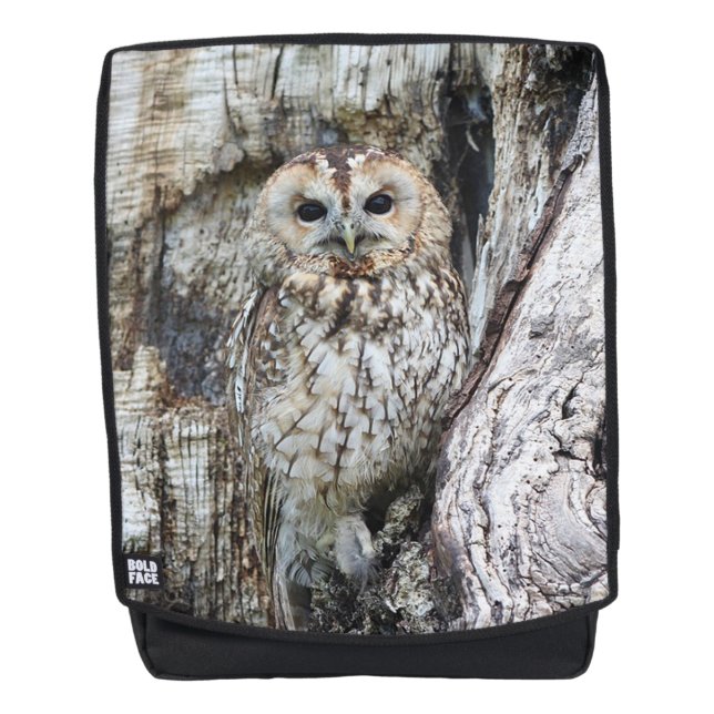 Owl Backpack (Front)