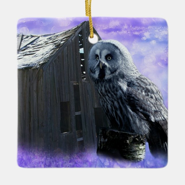 Owl Barn Shed Ceramic Ornament (Front)