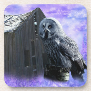 Owl Barn Shed Coaster