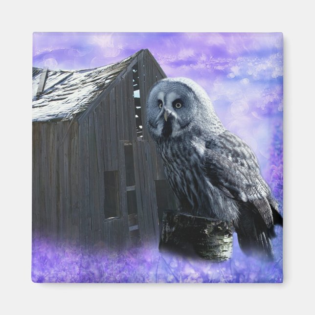 Owl Barn Shed Magnet (Front)