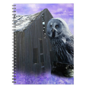Owl Barn Shed Notebook