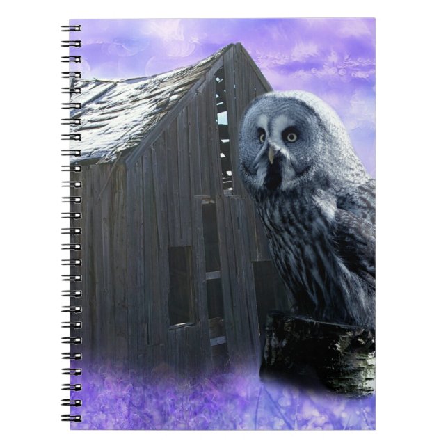 Owl Barn Shed Notebook (Front)