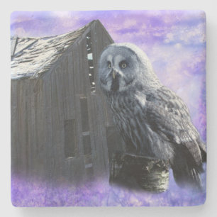Owl Barn Shed Stone Coaster
