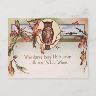 Owl Bat Autumn Fall Color Leaves Leaf Postcard