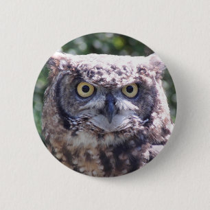 Owl be watching you 6 cm round badge