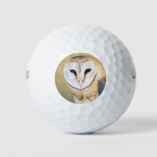 Owl Bird Animal Golfer Green Destiny's Destiny Golf Balls