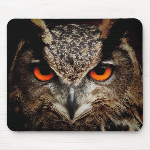 owl, bird, animal mouse mat