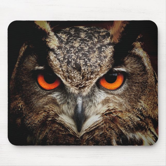 owl, bird, animal mouse mat (Front)
