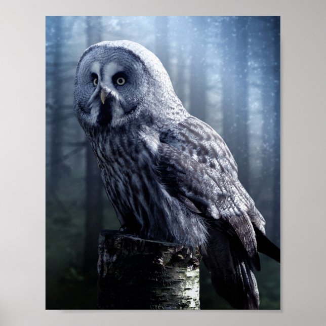 Owl Bird Animal Woodland Forest  Poster (Front)