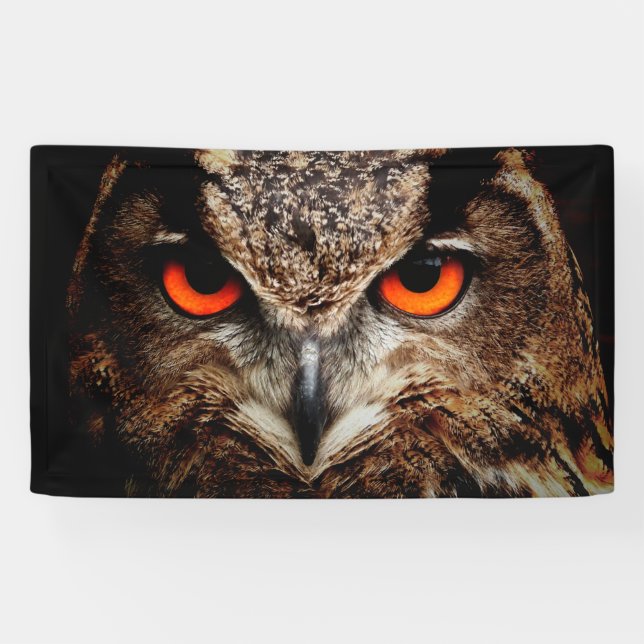 owl bird eyes eagle banner (Horizontal)