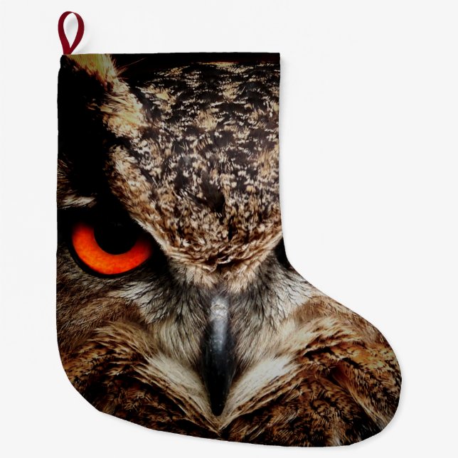 owl bird eyes eagle large christmas stocking (Front)