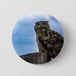 Owl Bird Feathers Animal Nature Destiny Peace Love 6 Cm Round Badge