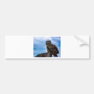 Owl Bird Feathers Animal Nature Destiny Peace Love Bumper Sticker