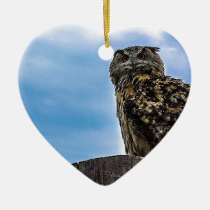 Owl Bird Feathers Animal Nature Destiny Peace Love Ceramic Tree Decoration