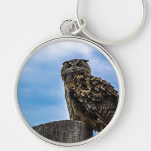 Owl Bird Feathers Animal Nature Destiny Peace Love Key Ring