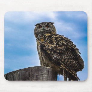 Owl Bird Feathers Animal Nature Destiny Peace Love Mouse Mat