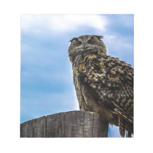 Owl Bird Feathers Animal Nature Destiny Peace Love Notepad