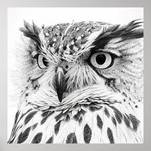 Owl Bird Wild Nature Animal Illustration Art Poster