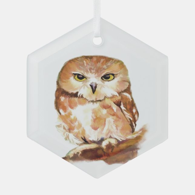 Owl Bird with Attitude  Wildlife Nature Art  Glass Tree Decoration (Front)