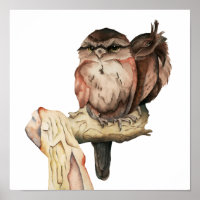 Owl Birds Watercolor Painting