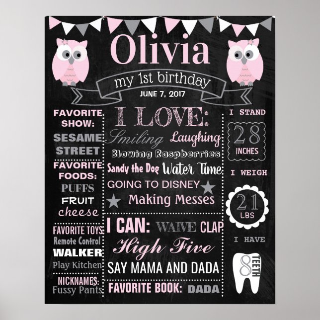 Owl Birthday Party chalkboard sign poster (Front)